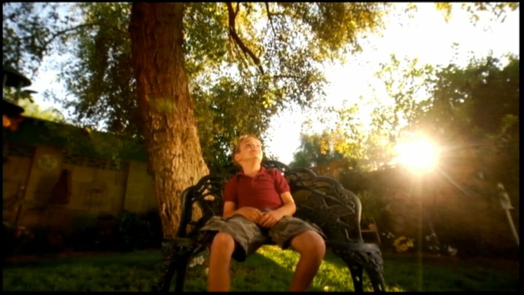 Boy in red shirt sitting on a bench under a large tree