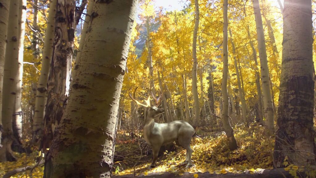 A digital Buck in a forest with yellowing leaves